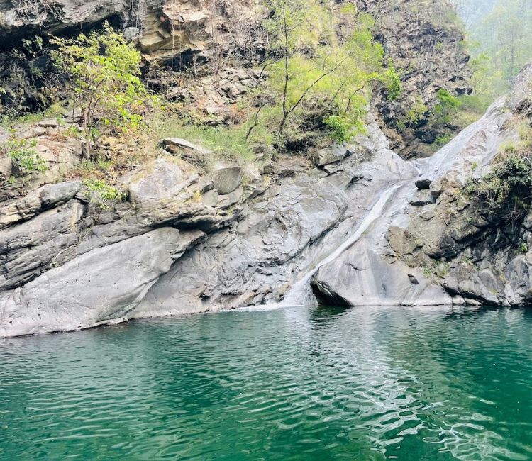Pari Taal