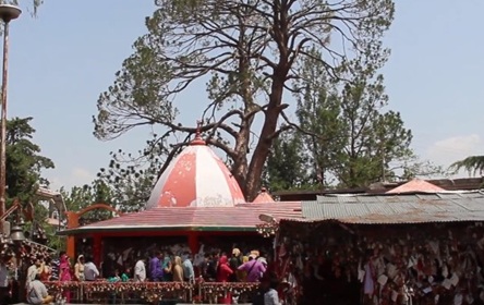 Chitai Golu Devta temple