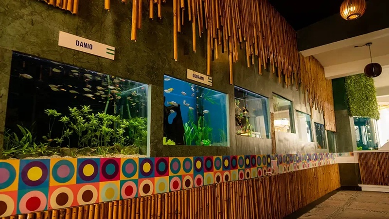 bhimtal island aquarium 