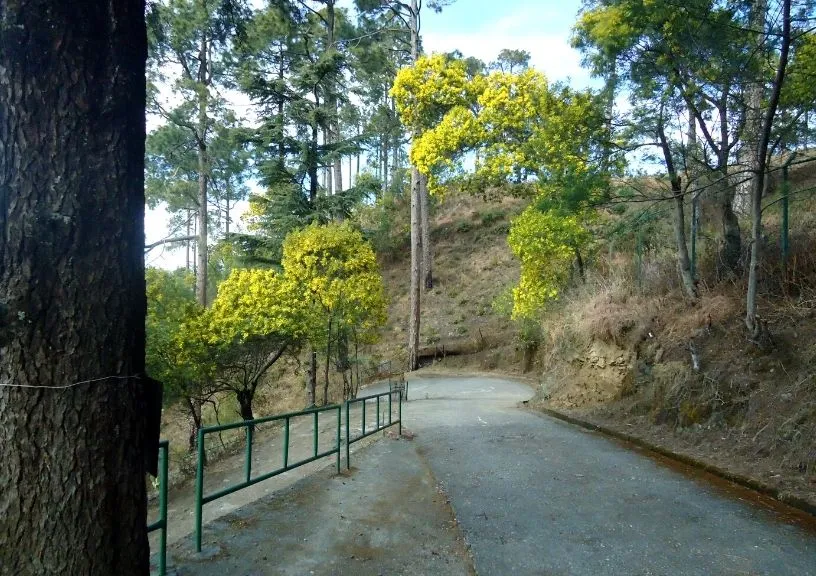 Simtola Eco Park