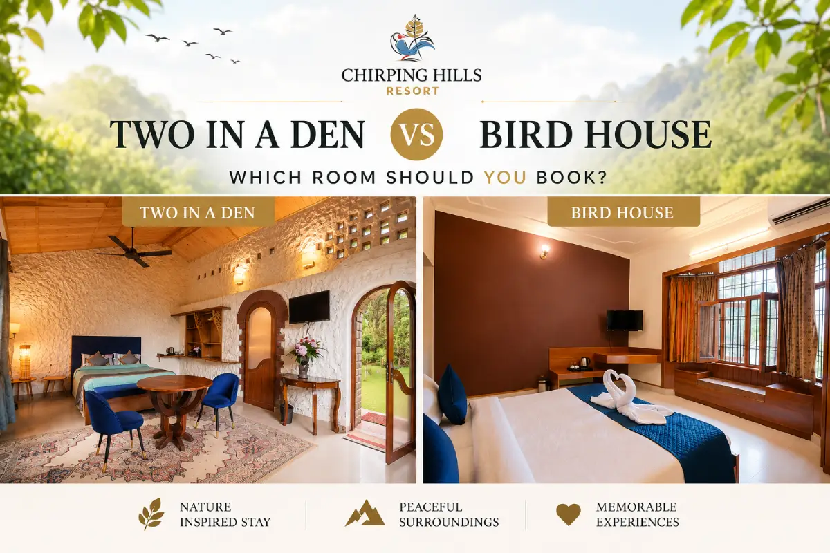 Bird House vs Two in a Den: Which Room Should You Book?